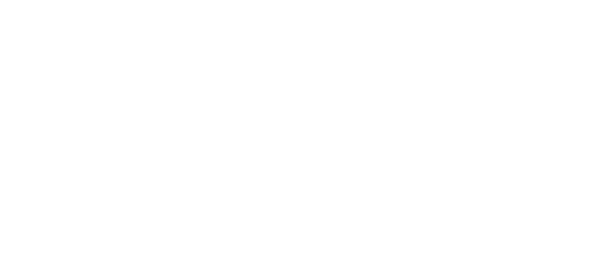 Agidens