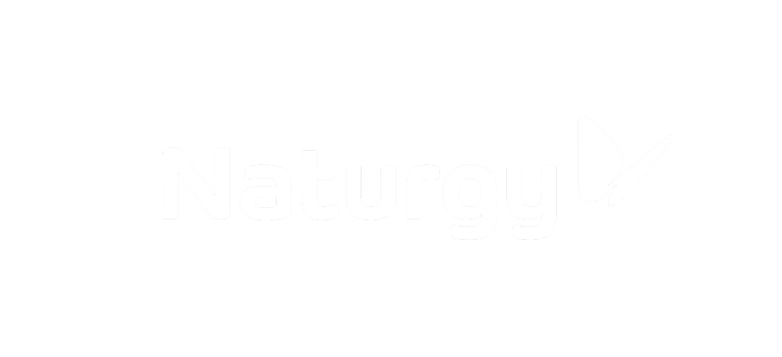 Naturgy logo